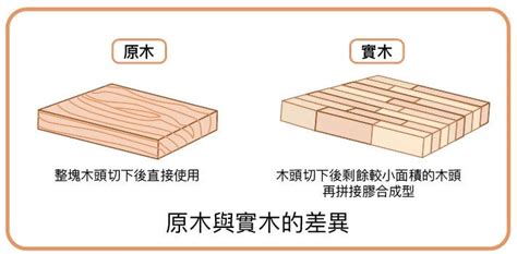 松木傢俱|原木床架傢俱？柚木、松木、胡桃木、橡木比較差異？